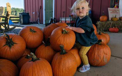 Kinsey Family Farm on Jot ‘Em Down