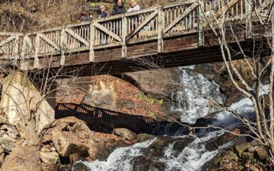 Amicalola Falls State Park